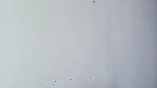 kissme_luna webcam