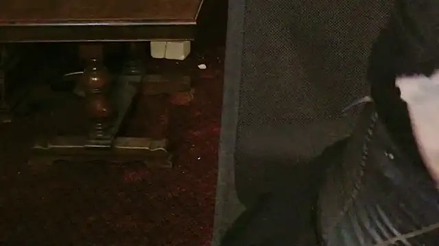 MaxiEmily webcam