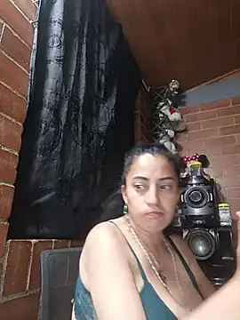 Alexandrina webcam
