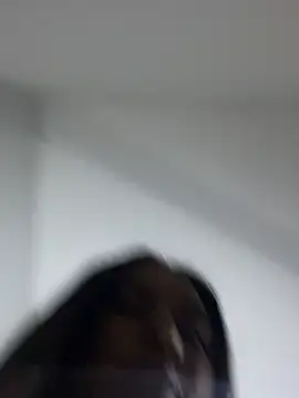 CacauShow01 webcam