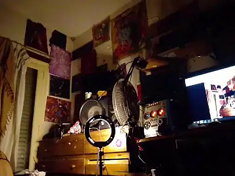 amoralall webcam