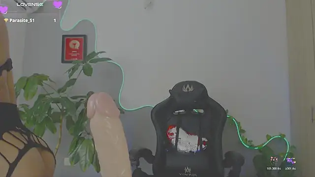 LauPolett webcam