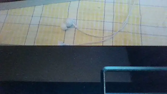 st206boy webcam