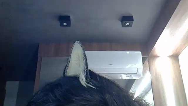SkinnyKitten webcam