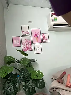 Nana-19 webcam