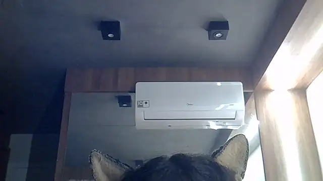SkinnyKitten webcam