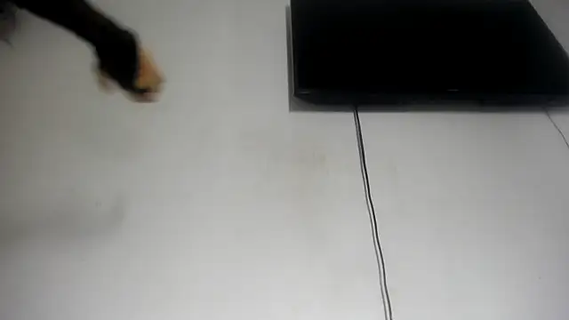 Fox_Loves webcam