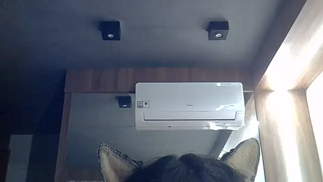 SkinnyKitten webcam