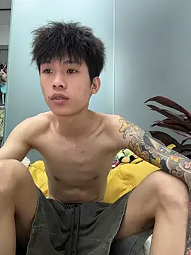 KPL-11 webcam