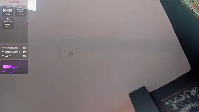 SofiaRousel webcam