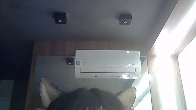 SkinnyKitten webcam