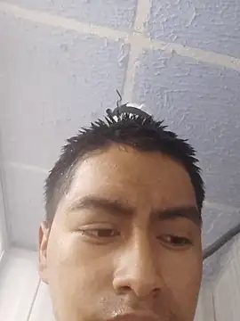 Alcon347 webcam