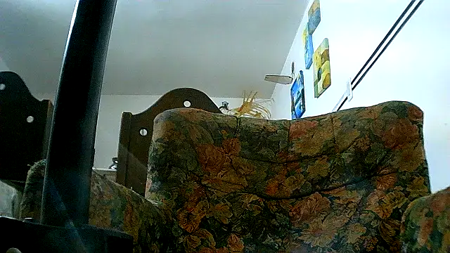 Negritohot3682 webcam