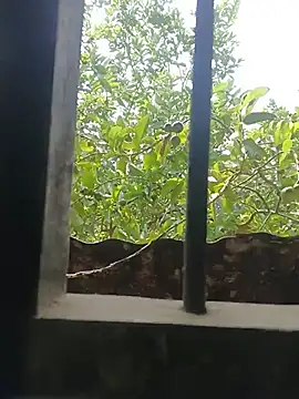 Pyari_sony91 webcam