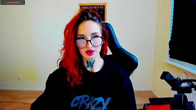 your_tora webcam