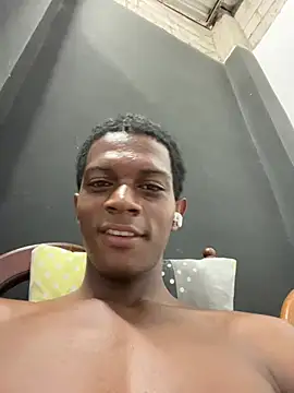 KingBlack25cm webcam