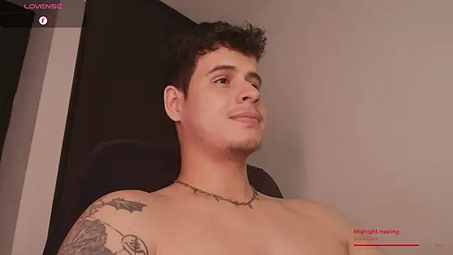 BjornSteel webcam