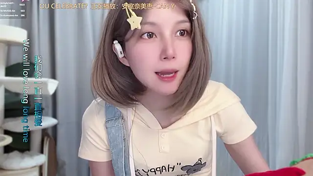 hi-AnAn webcam
