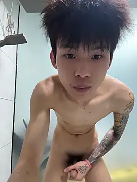 KPL-11 webcam