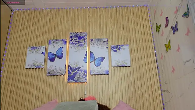 Moonceleste webcam