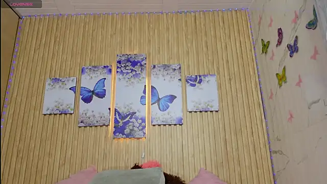 Moonceleste webcam