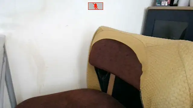 Hgay6935 webcam