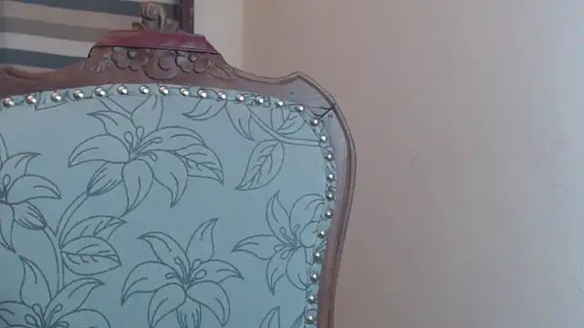 24k_ webcam