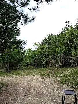-Pupsiki- webcam