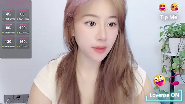 Baixi-01 webcam