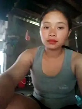 Liss-mimi webcam