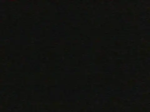 shugabaibe webcam