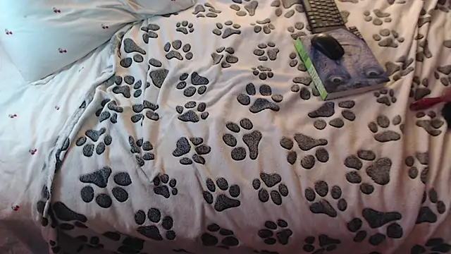 Q_T_pie webcam