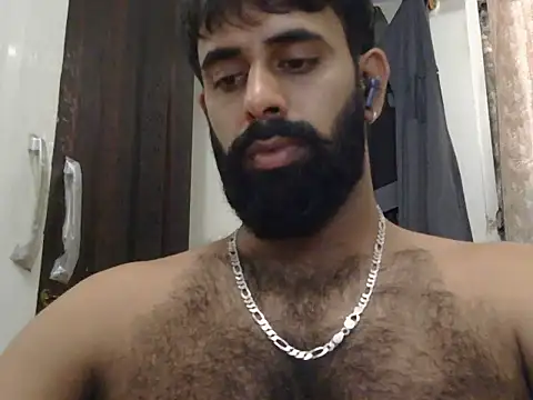 indianhairybull