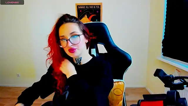 your_tora webcam