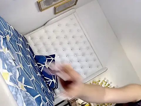 camillejoson webcam