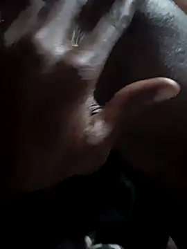 New1119 webcam