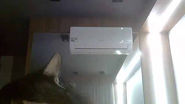 SkinnyKitten webcam