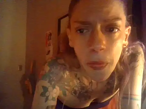plsmecha webcam