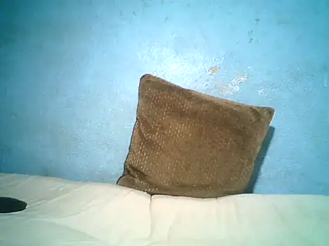little__joy webcam