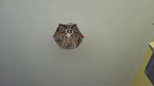 Butterfly_PL webcam