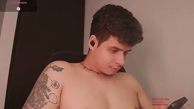 BjornSteel webcam