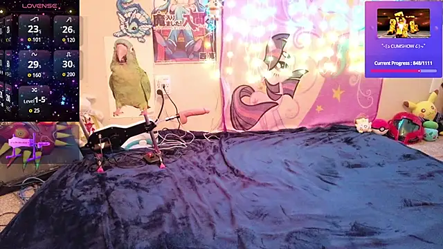 BabyZelda webcam