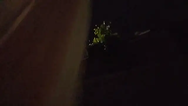 sloppytopkins webcam