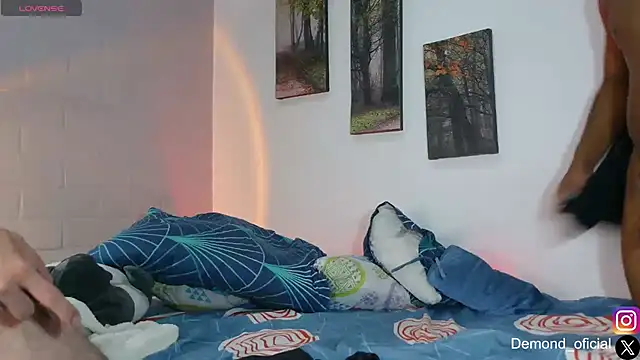 DEMOND_333 webcam