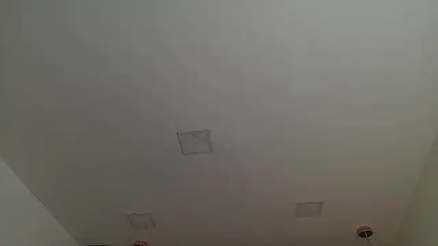 CHRIS_TWIINK webcam