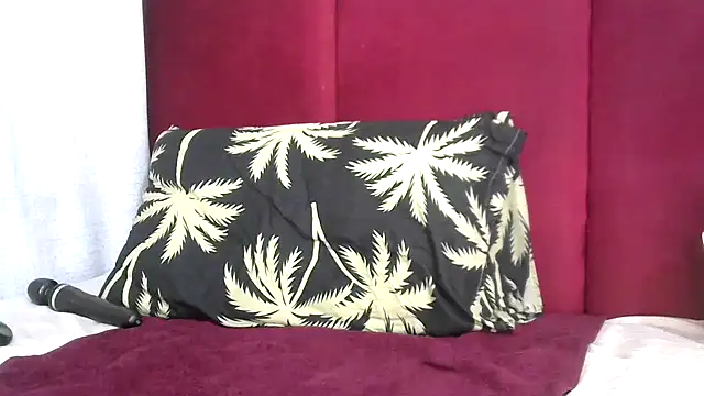 Mel90x webcam