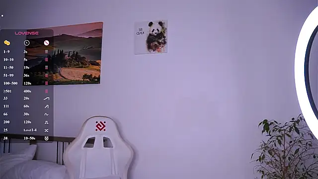 RuthFraction webcam