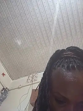 ella102 webcam