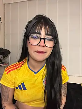 -Brittanny webcam