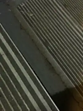 PublicBbc webcam